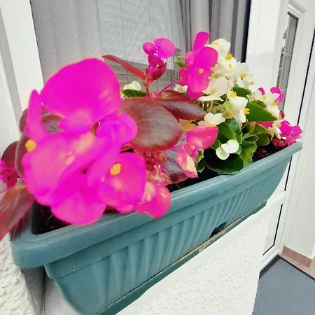 Δωμάτια σε οικογενειακή κατοικία Smestaj Centar Novi Sad,motorcycle Friendly *