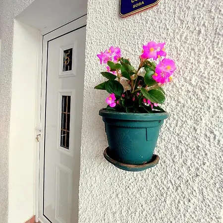 Smestaj Centar Novi Sad,motorcycle Friendly Δωμάτια σε οικογενειακή κατοικία